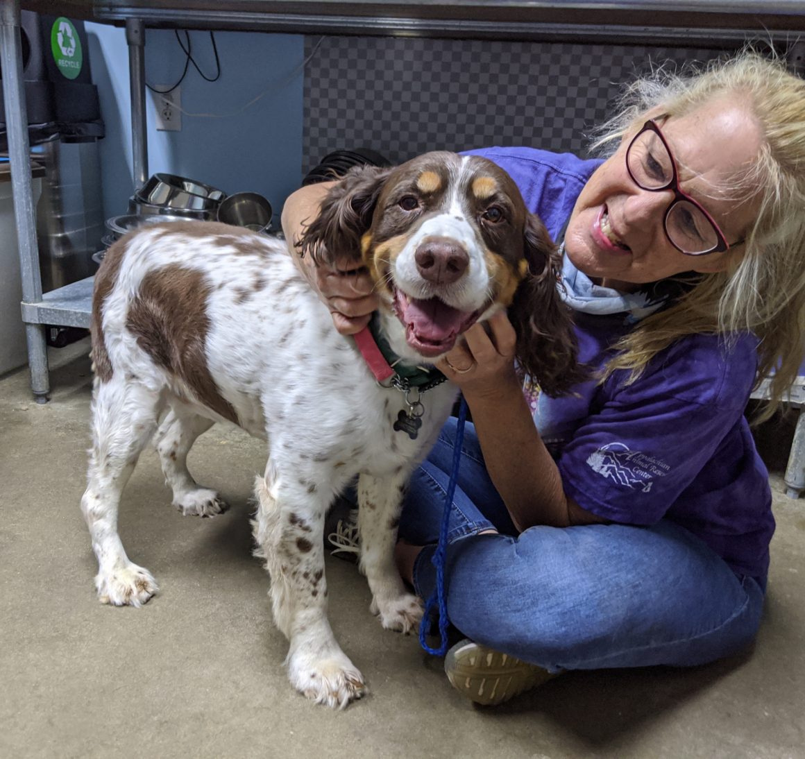 Courteous Canine Training: The Meaning of NO! Courteous Canine Training: The Meaning of NO!